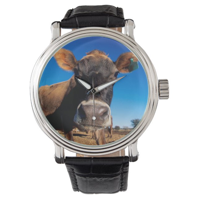 Een koe van Jersey die nieuwsgierig is Horloge (Voorkant)