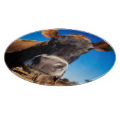 Een koe van Jersey die nieuwsgierig is Snijplank (Hoek)