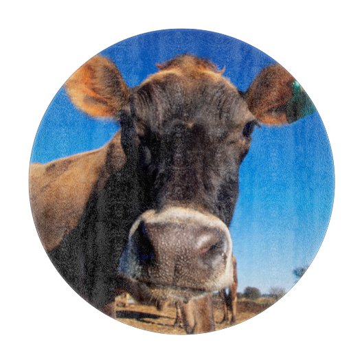 Een koe van Jersey die nieuwsgierig is Snijplank (Voorkant)