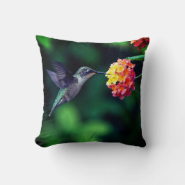Een kolibrie drink nectar Groene Achtergrond Kussen
