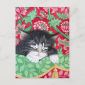 Een komforte kat! briefkaart (Voorkant)