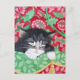 Een komforte kat! briefkaart