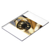 Een kompas dat helpt navigeren en koers houden. notitieboek (Linkerzijde)