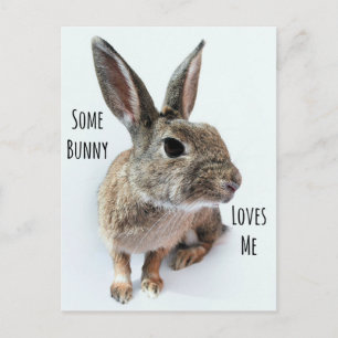 Een konijn houdt van mij Collectie Rabbit Easter Feestdagenkaart