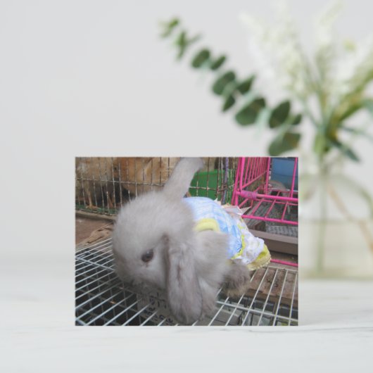Een konijn in een dress か わ い 幸 せ briefkaart (Staand voorkant)