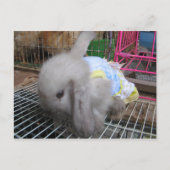 Een konijn in een dress か わ い 幸 せ briefkaart (Voorkant)