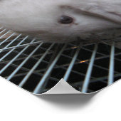 Een konijn in een dress か わ い 幸 せ poster (Hoek)