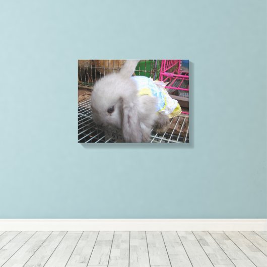 Een konijn in een dress canvas afdruk (Insitu (Houten vloer))