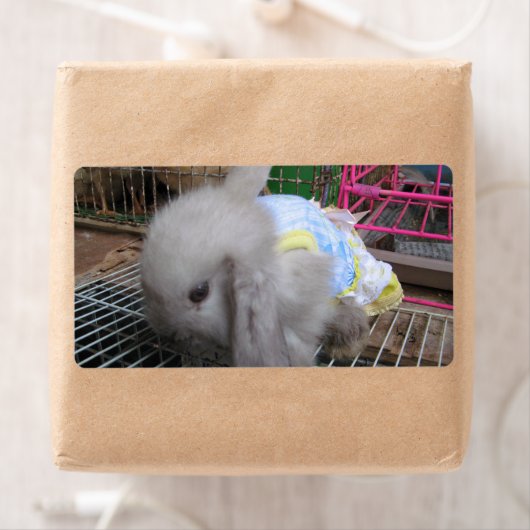 Een konijn in een dress etiket (Insitu)