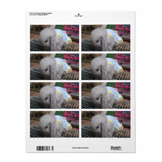 Een konijn in een dress etiket (Full Sheet)