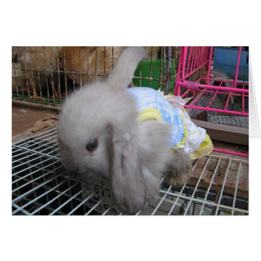 Een konijn in een dress-Kaart (Voorkant Horizontaal)