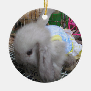 Een konijn in een dress keramisch ornament