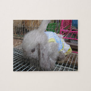 Een konijn in een dress legpuzzel