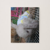 Een konijn in een dress legpuzzel (Verticaal)