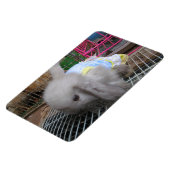 Een konijn in een dress magneet (Linkerzijde)