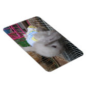 Een konijn in een dress magneet (Rechterzijde)