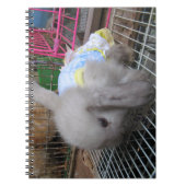 Een konijn in een dress notitieboek (Voorkant)