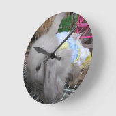 Een konijn in een dress ronde klok (Hoek)