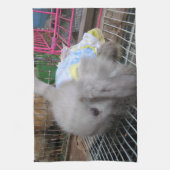 Een konijn in een dress theedoek (Verticaal)