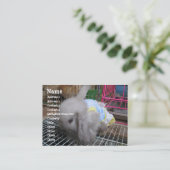 Een konijn in een dress visitekaartje (Staand voorkant)