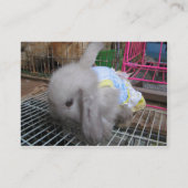 Een konijn in een dress visitekaartje (Achterkant)