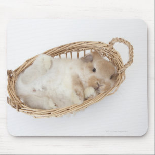 Een konijn zit in een mand.Holland Lop. Muismat