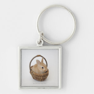 Een konijn zit in een mand. sleutelhanger