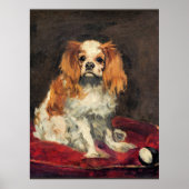 Een koning Charles Spaniel, mooie kunst Poster (Voorkant)
