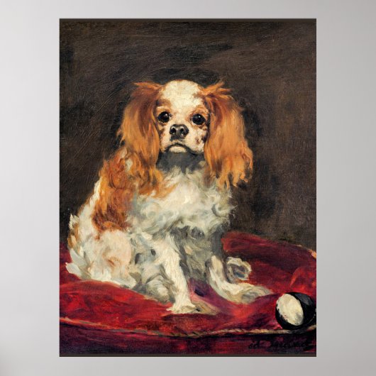 Een koning Charles Spaniel, mooie kunst Poster (Voorkant)