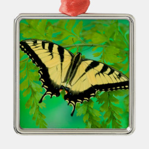 Een Koningsvlinder Landend Metalen Ornament