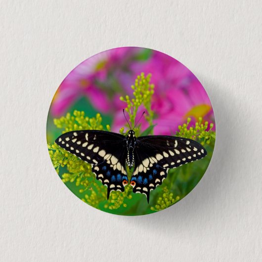 Een Koningsvlinder Landend Ronde Button 3,2 Cm (Voorkant)