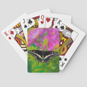 Een Koningsvlinder Landt Pokerkaarten