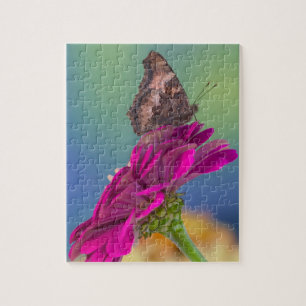 Een Koningsvlinder Papilio Multicaudatus Legpuzzel