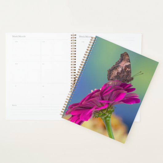 Een Koningsvlinder | Papilio Multicaudatus Planner (Display)
