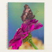 Een Koningsvlinder | Papilio Multicaudatus Planner (Voorkant)