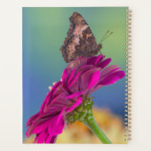Een Koningsvlinder | Papilio Multicaudatus Planner (Achterkant)