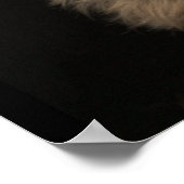 Een kortharige Yorkie-hond die naar rechts kijkt Poster (Hoek)