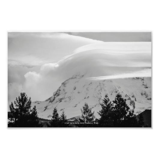 Een koude dag in maart foto afdruk (Voorkant)