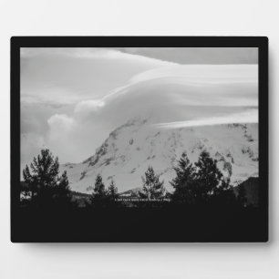 Een koude dag in maart fotoplaat