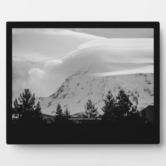 Een koude dag in maart fotoplaat (Voorkant)