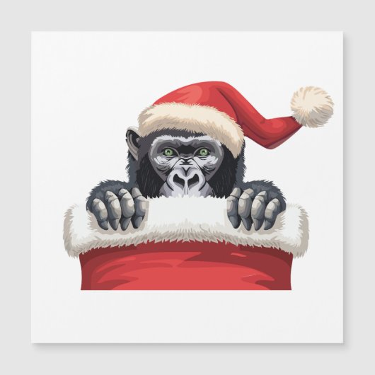 Een Kous Vol Gorilla Blijdschap (Voorkant)