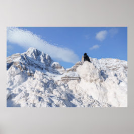 Een kraai bij Crowfoot Mountain Alberta Canada Poster