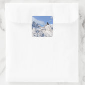 Een kraai bij Crowfoot Mountain Alberta Canada Vierkante Sticker (Tas)