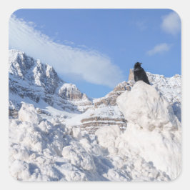 Een kraai bij Crowfoot Mountain Alberta Canada Vierkante Sticker