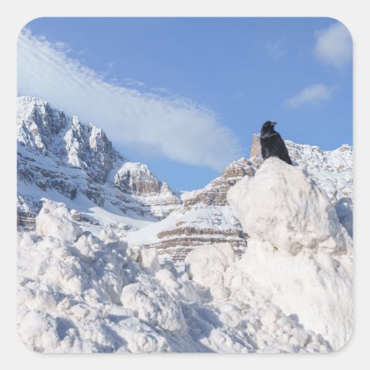 Een kraai bij Crowfoot Mountain Alberta Canada Vierkante Sticker (Voorkant)