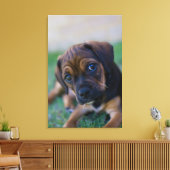Een kruibrauwkever (puggle) canvas afdruk (Insitu (Woonkamer))