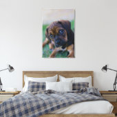 Een kruibrauwkever (puggle) canvas afdruk (Insitu (Slaapkamer))