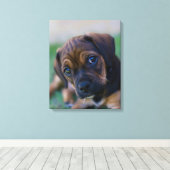 Een kruibrauwkever (puggle) canvas afdruk (Insitu (Houten vloer))