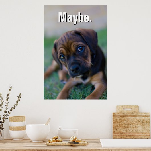 Een kruibrauwkever (puggle) poster (Keuken)