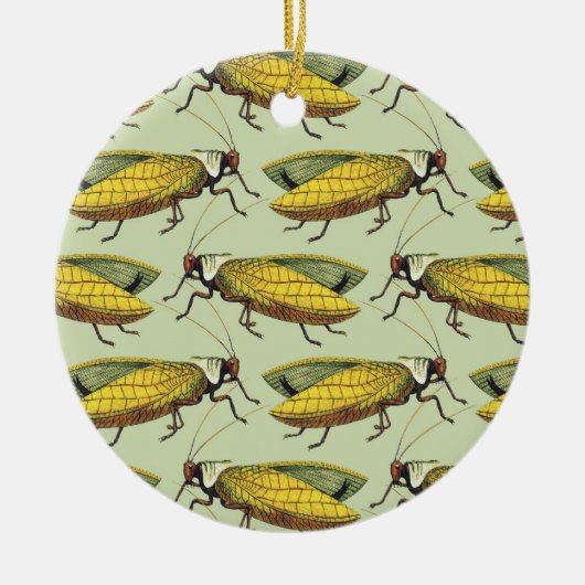 Een kruid van het Ornament van Katydids (Voorkant)